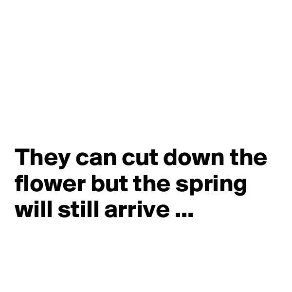 




They can cut down the flower but the spring will still arrive ...

