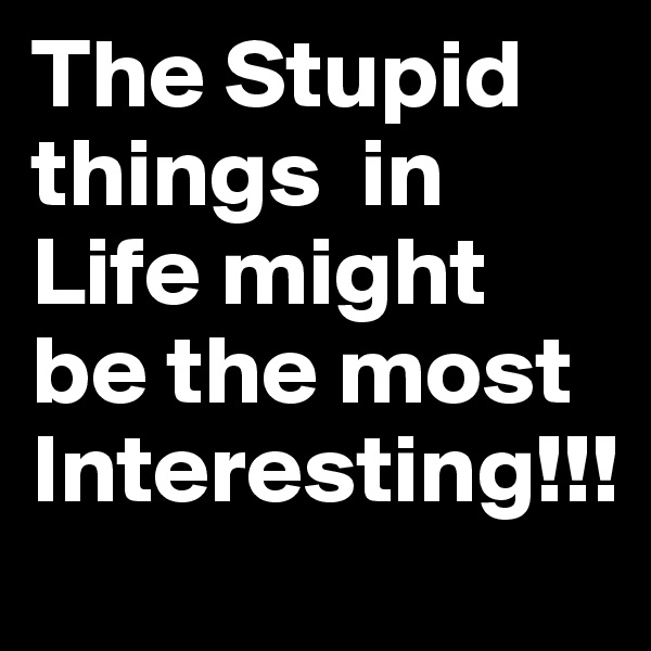 The Stupid  things  in Life might be the most Interesting!!!