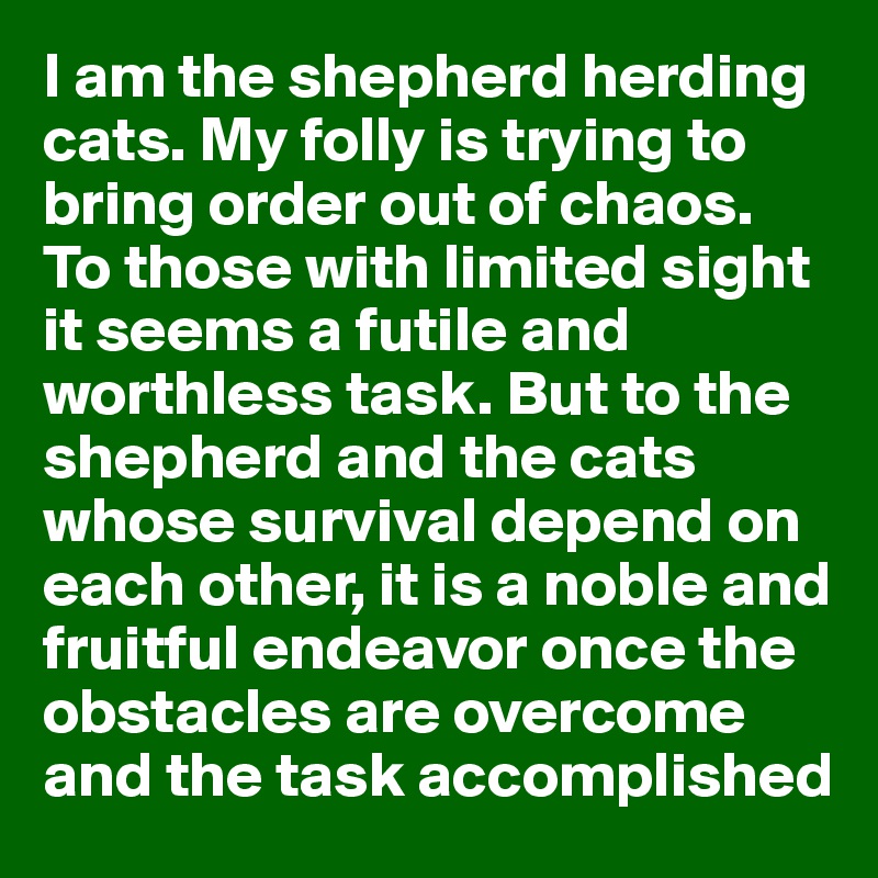 I am the shepherd herding cats. My folly is trying to bring order out of chaos.  To those with limited sight it seems a futile and worthless task. But to the shepherd and the cats whose survival depend on each other, it is a noble and fruitful endeavor once the obstacles are overcome and the task accomplished