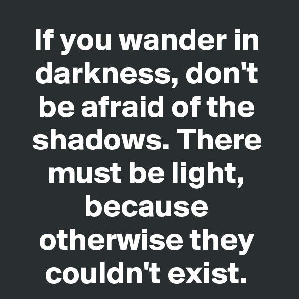 If you wander in darkness, don't be afraid of the shadows. There must be light, because otherwise they couldn't exist.