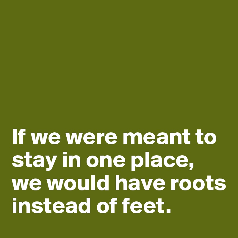 




If we were meant to stay in one place, we would have roots instead of feet. 