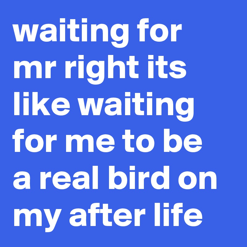waiting for mr right its like waiting for me to be a real bird on my after life