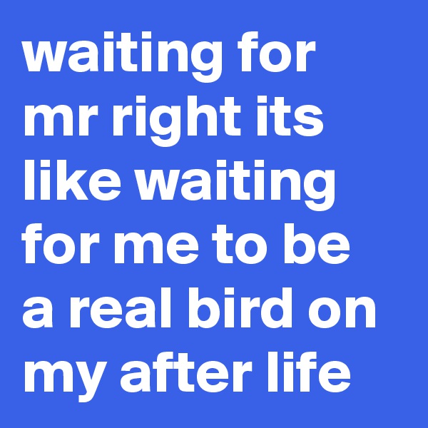 waiting for mr right its like waiting for me to be a real bird on my after life