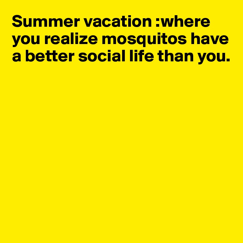 Summer vacation :where you realize mosquitos have a better social life than you.








