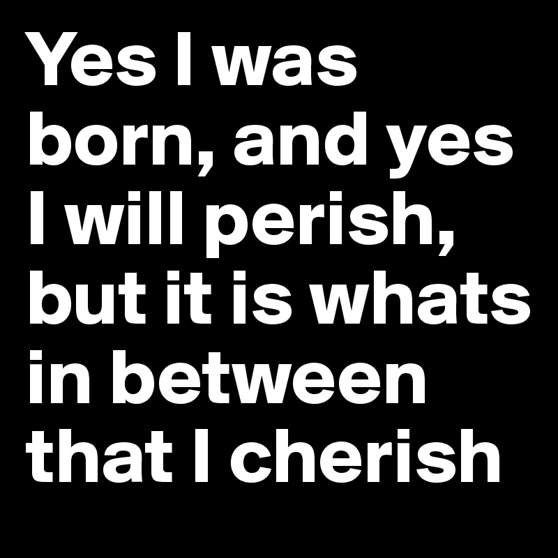 Yes I was born, and yes I will perish, but it is whats in between that I cherish 