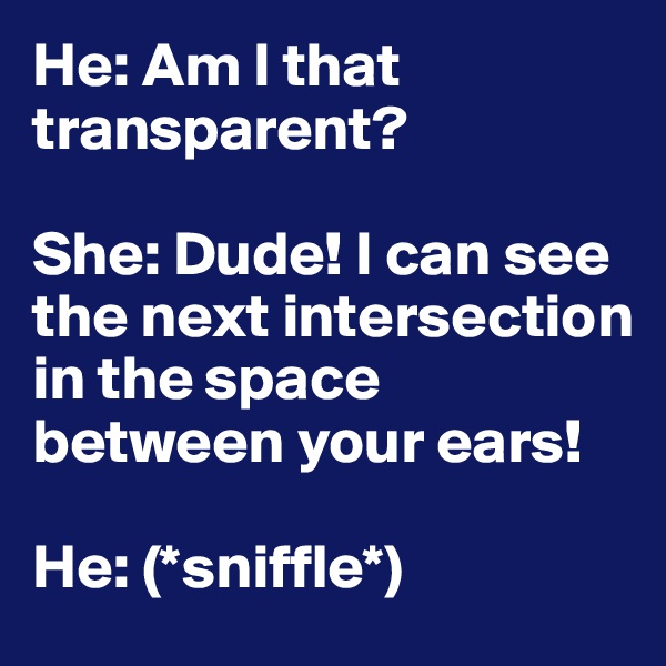 He: Am I that transparent?

She: Dude! I can see the next intersection in the space between your ears!

He: (*sniffle*)