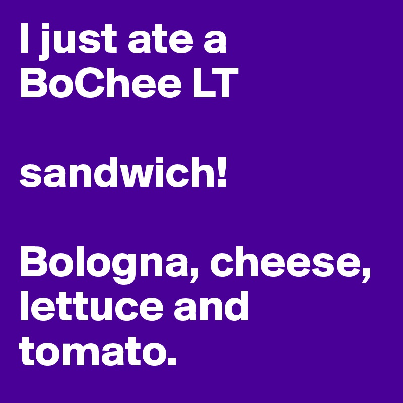 I just ate a BoChee LT

sandwich!

Bologna, cheese, lettuce and tomato.