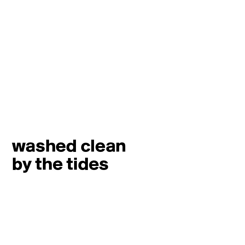






washed clean
by the tides


