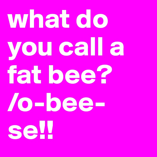 what do you call a fat bee? 
/o-bee-se!!