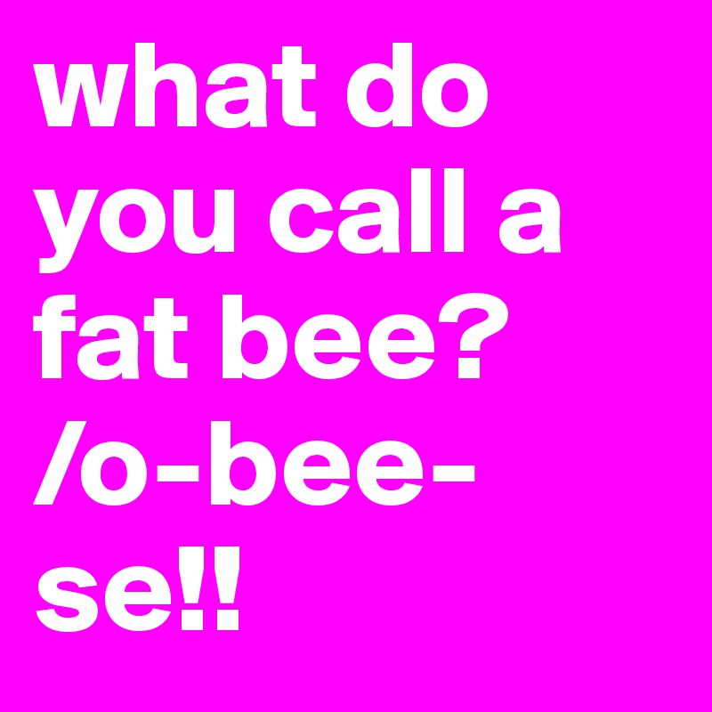 what do you call a fat bee? 
/o-bee-se!!