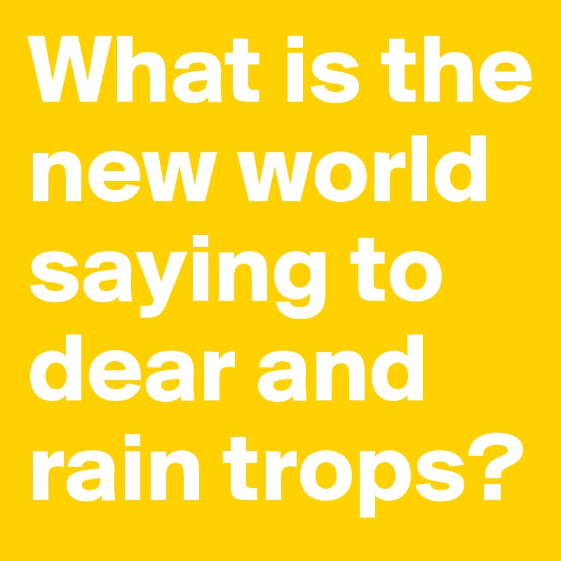 What is the new world saying to dear and rain trops?