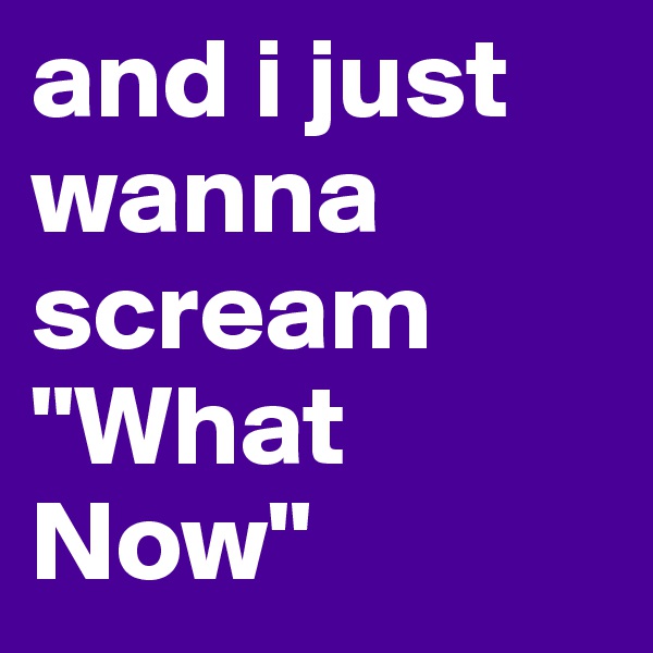 and i just wanna scream "What Now"