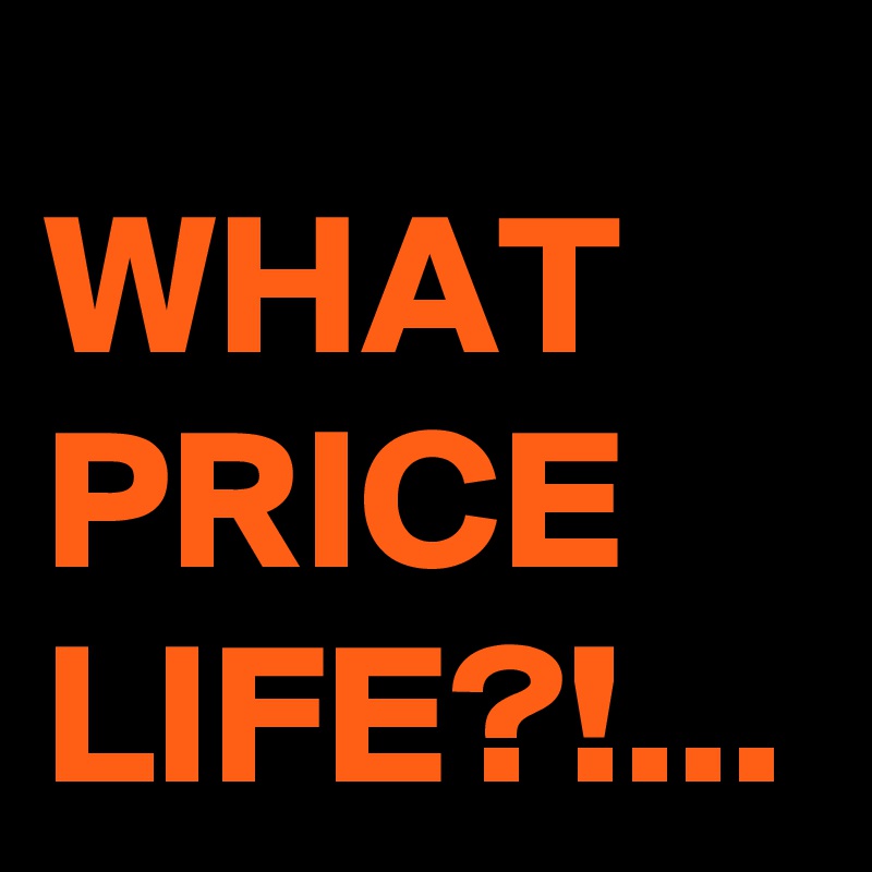 WHAT PRICE LIFE?!...