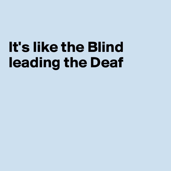 

It's like the Blind leading the Deaf





