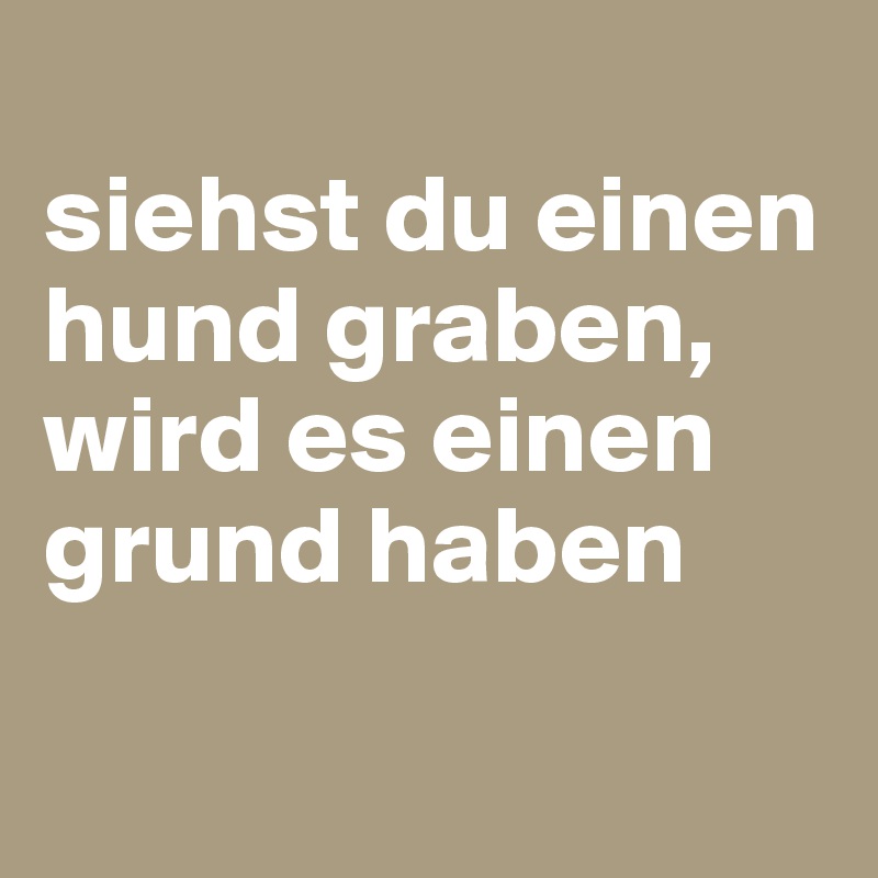 
siehst du einen hund graben, wird es einen grund haben

