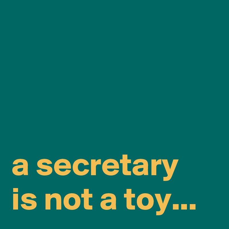 



a secretary is not a toy...