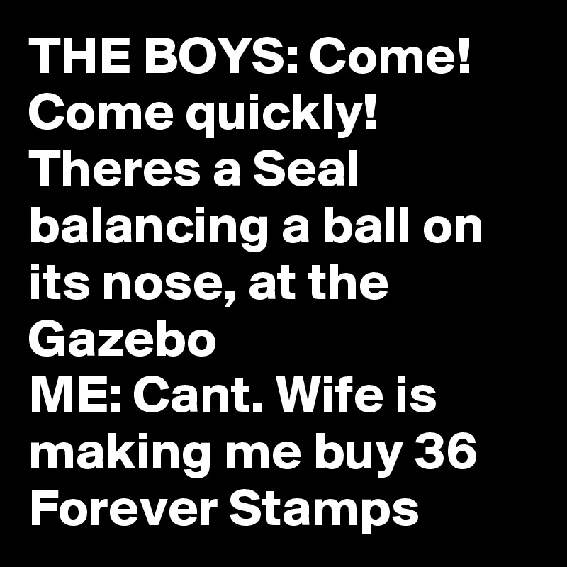 THE BOYS: Come! Come quickly! Theres a Seal balancing a ball on its nose, at the Gazebo
ME: Cant. Wife is making me buy 36 Forever Stamps