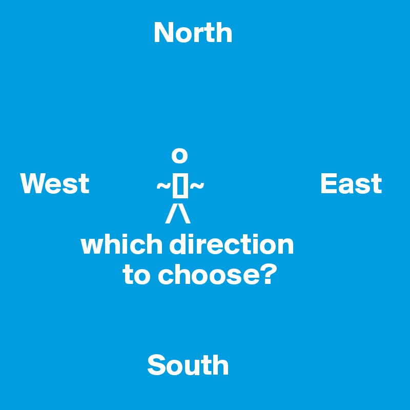                       North



                         o 
West           ~[]~                   East 
                        /\
          which direction
                 to choose?

                      
                     South
