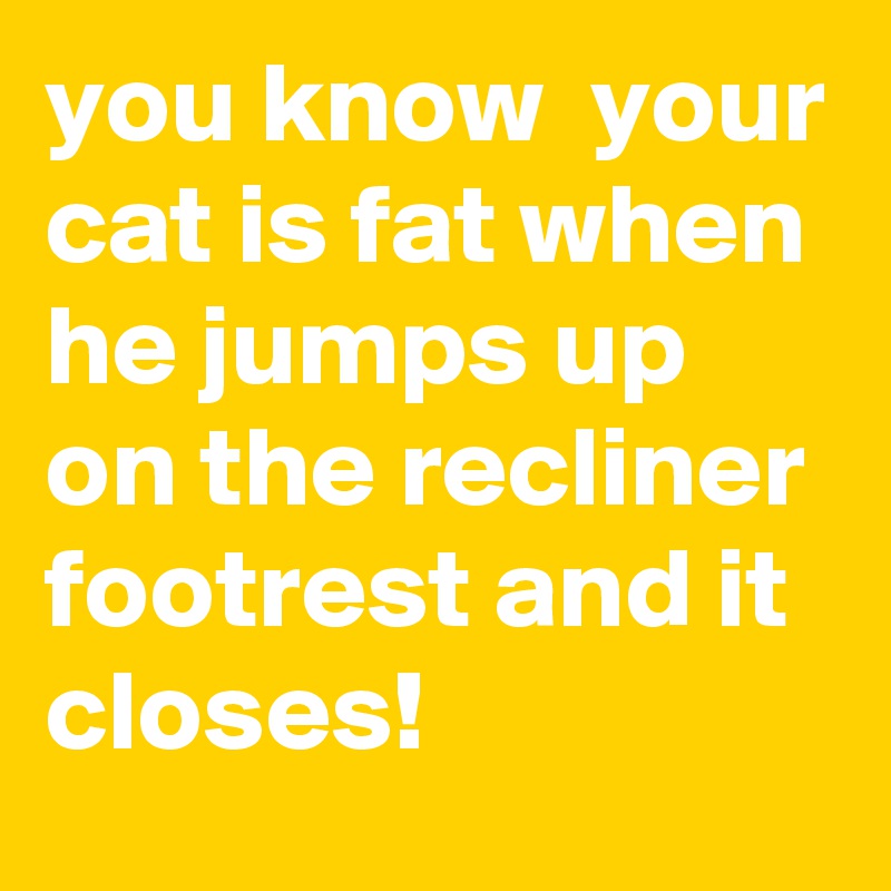 you know  your cat is fat when he jumps up on the recliner footrest and it closes!