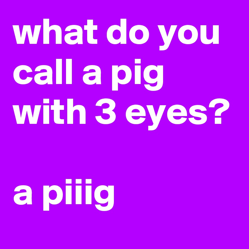 what-do-you-call-a-pig-with-3-eyes-a-piiig-post-by-siouxz-on-boldomatic