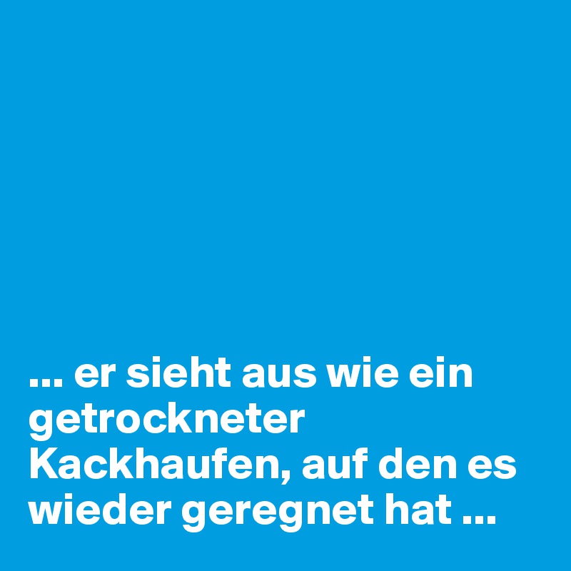 






... er sieht aus wie ein getrockneter Kackhaufen, auf den es wieder geregnet hat ...