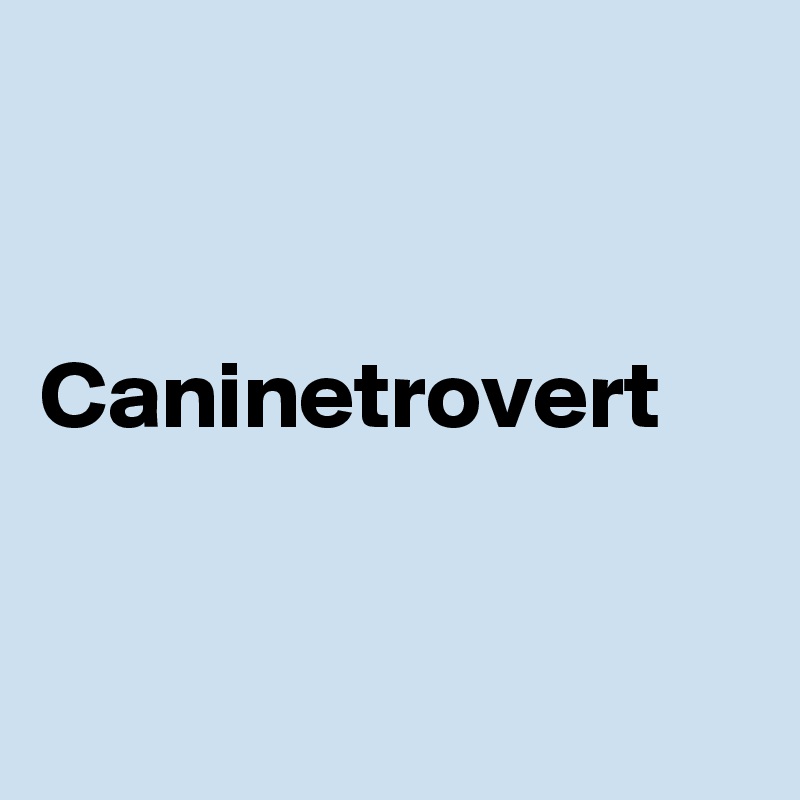 


Caninetrovert


