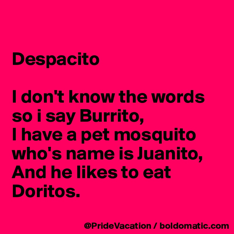 despacito-i-don-t-know-the-words-so-i-say-burrito-i-have-a-pet-mosquito-who-s-name-is-juanito