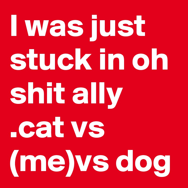 I was just stuck in oh shit ally .cat vs  (me)vs dog