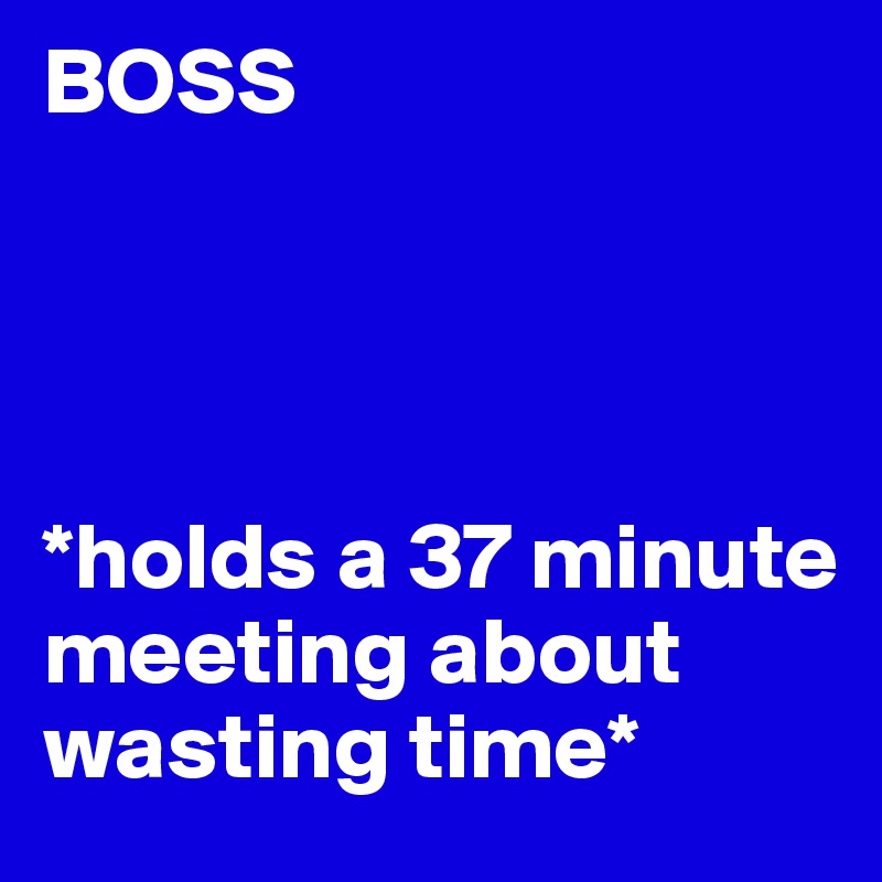 BOSS




*holds a 37 minute meeting about wasting time*