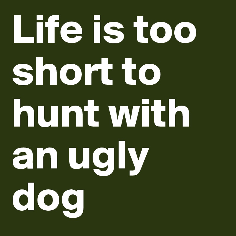 Life is too short to hunt with an ugly dog 