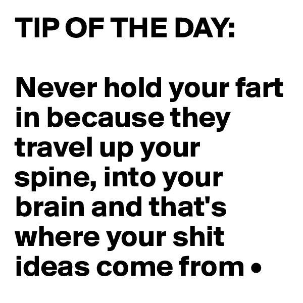 TIP OF THE DAY:

Never hold your fart in because they travel up your spine, into your brain and that's where your shit ideas come from •