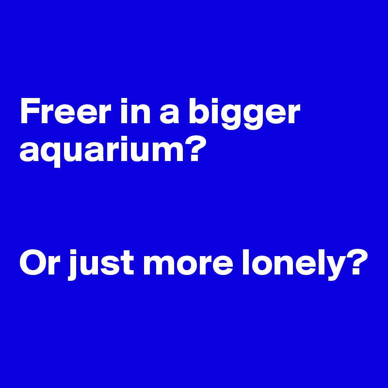 

Freer in a bigger aquarium?


Or just more lonely?

