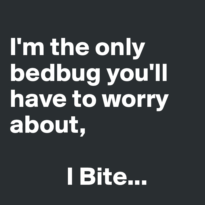 
I'm the only bedbug you'll have to worry about,
         
           I Bite...