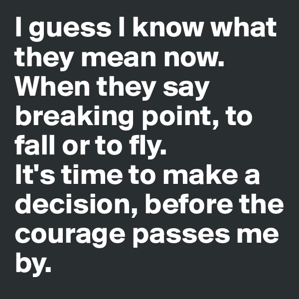 I guess I know what they mean now. 
When they say breaking point, to fall or to fly. 
It's time to make a decision, before the courage passes me by. 