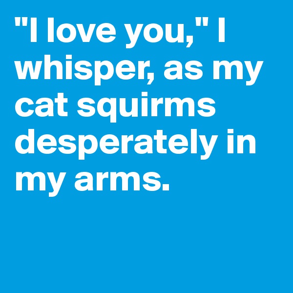 "I love you," I whisper, as my cat squirms desperately in my arms.

