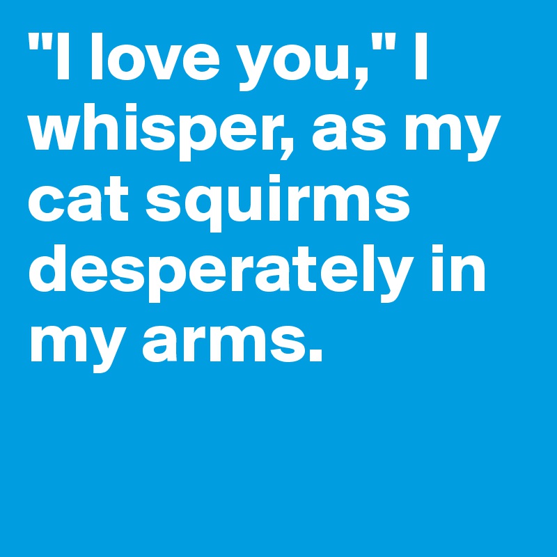 "I love you," I whisper, as my cat squirms desperately in my arms.

