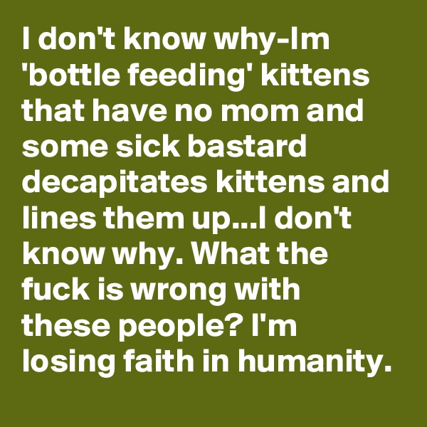I don't know why-Im 'bottle feeding' kittens that have no mom and some sick bastard decapitates kittens and lines them up...I don't know why. What the fuck is wrong with these people? I'm losing faith in humanity. 