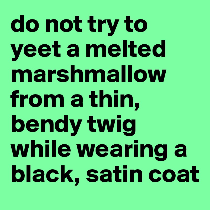 do not try to yeet a melted marshmallow from a thin, bendy twig while wearing a black, satin coat