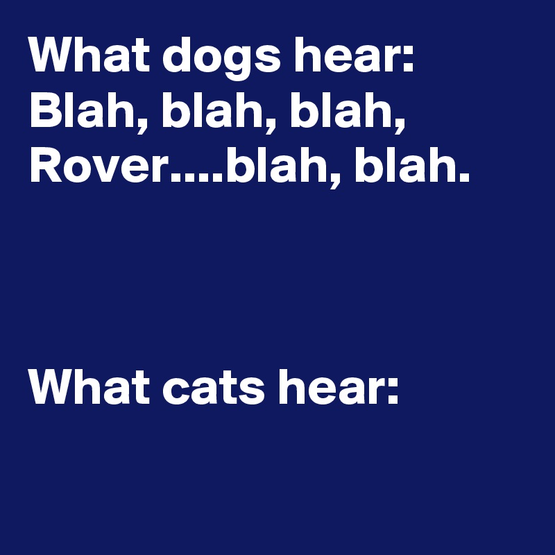 What dogs hear: 
Blah, blah, blah, Rover....blah, blah.



What cats hear:

