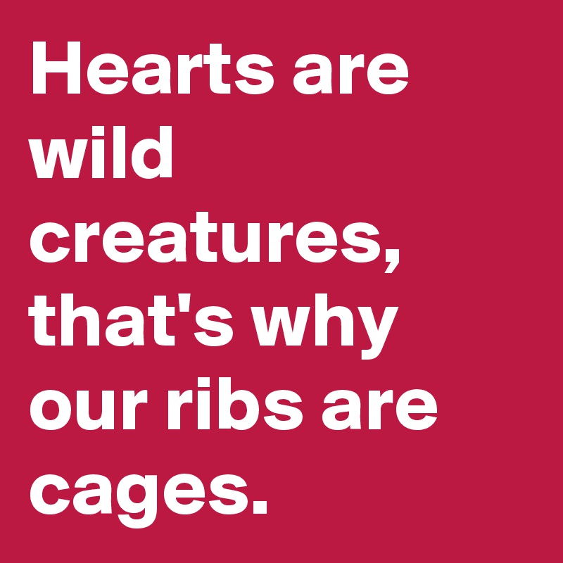 Hearts are wild creatures, that's why our ribs are cages.