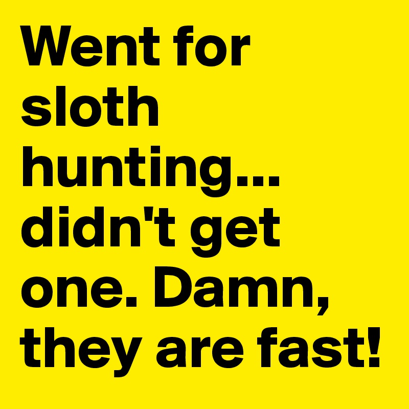 Went for sloth hunting...
didn't get one. Damn, they are fast!