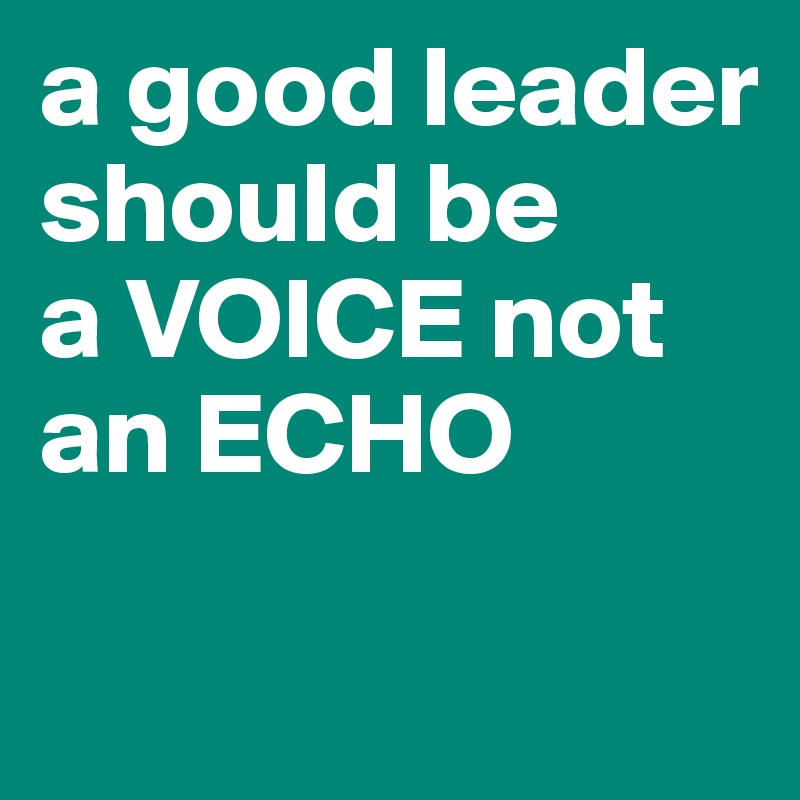 a good leader should be
a VOICE not an ECHO


