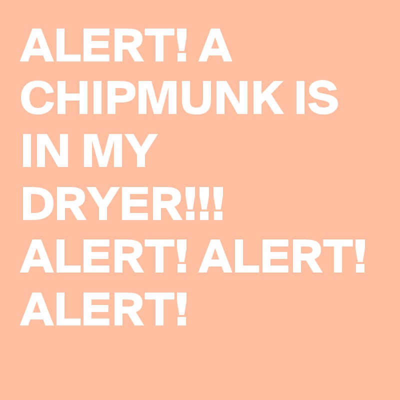 ALERT! A CHIPMUNK IS IN MY DRYER!!! ALERT! ALERT! ALERT!