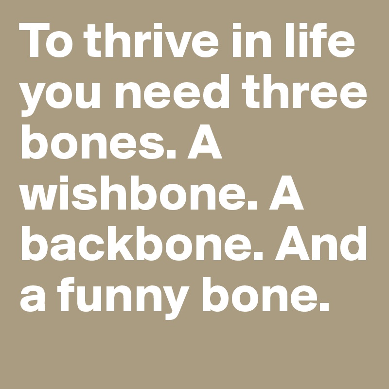To thrive in life you need three bones. A wishbone. A backbone. And a funny bone.