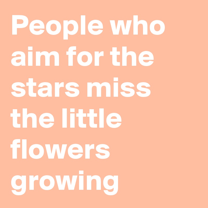 People who aim for the stars miss the little flowers growing