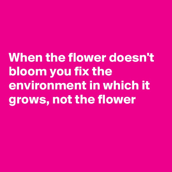 


When the flower doesn't bloom you fix the environment in which it grows, not the flower




