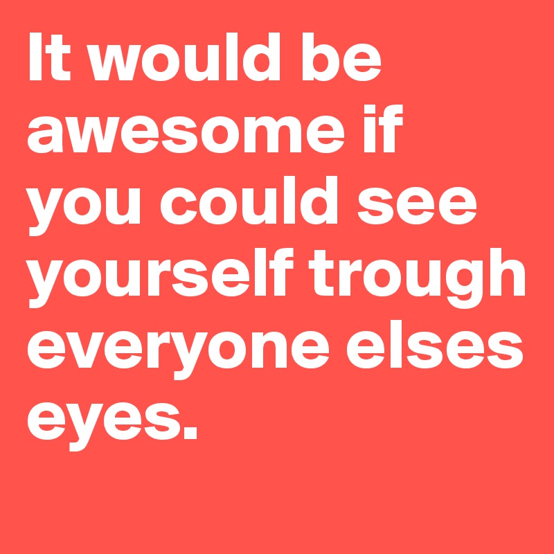 It would be awesome if you could see yourself trough everyone elses eyes. 