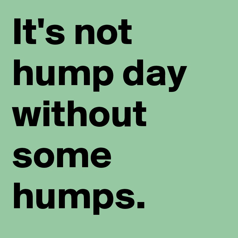 It's not hump day without some humps.