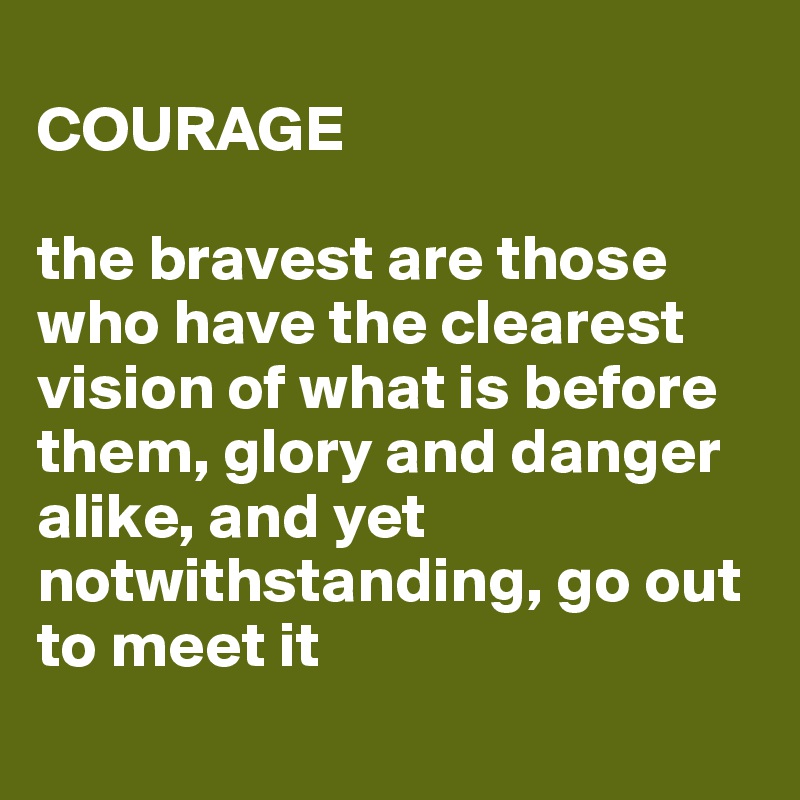 
COURAGE

the bravest are those who have the clearest vision of what is before them, glory and danger alike, and yet notwithstanding, go out to meet it
