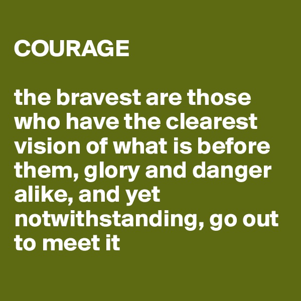 
COURAGE

the bravest are those who have the clearest vision of what is before them, glory and danger alike, and yet notwithstanding, go out to meet it
